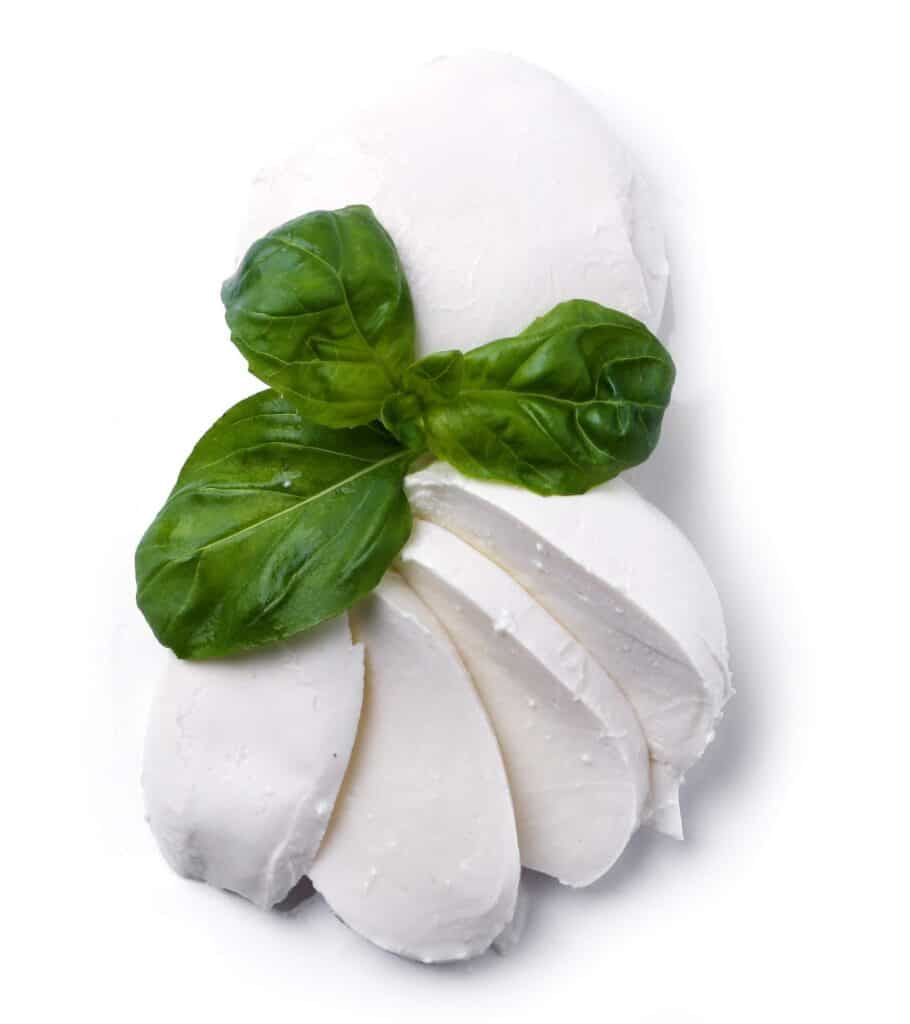 Mozzarella de calidad en Valencia - Cardellino
